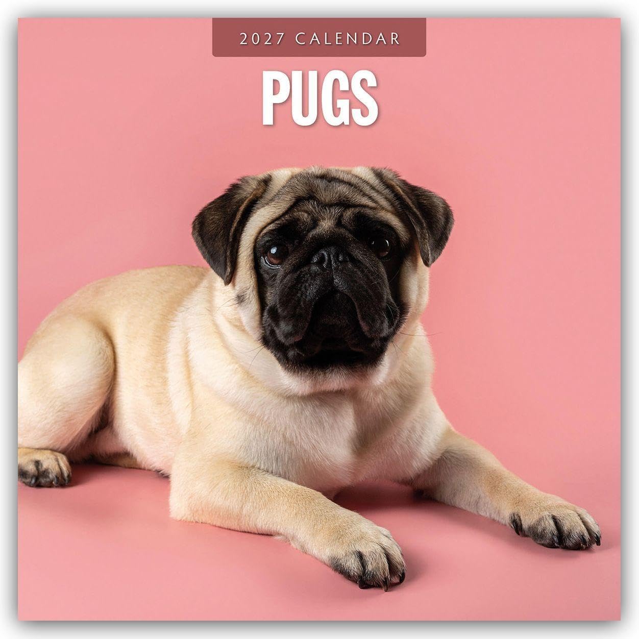 Pugs 2027 Square Wall Calendar: Original Red Robin Publishing Ltd-Kalender [Mehrsprachig] [Kalender]