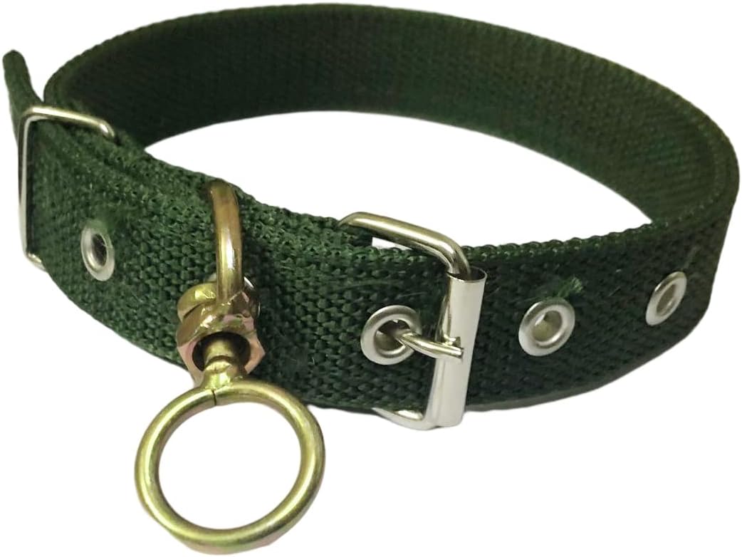 Large Dog Collar Dog Neck Collar Small and Medium Dog Collar Leash Dog