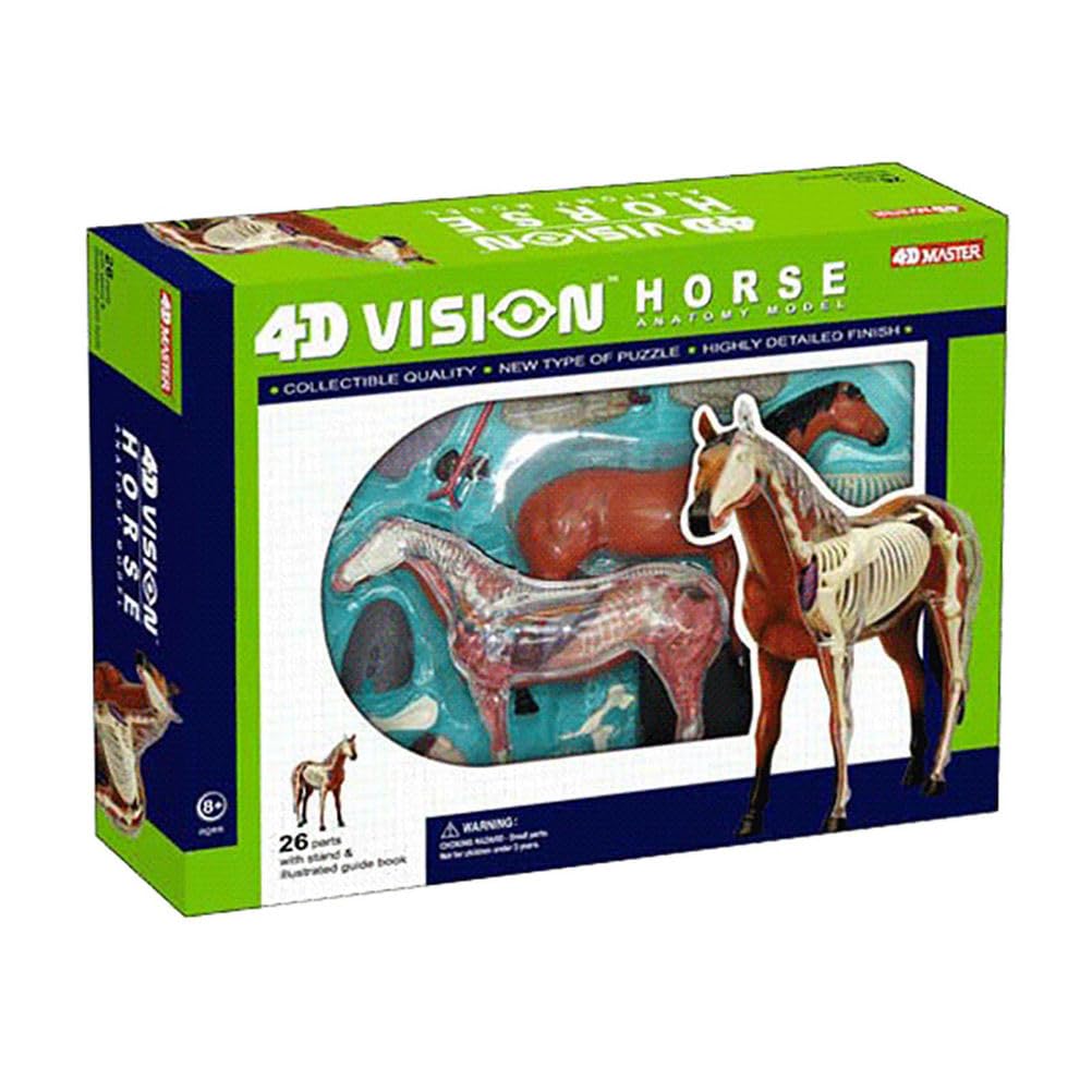 Genérico Modelo de Anatomía de Caballo 4D - Esqueleto de Animal, Biología Desmontable, 26 Partes para Clínica Veterinaria, Capacitación en Veterinaria y Demostración para la Escuela