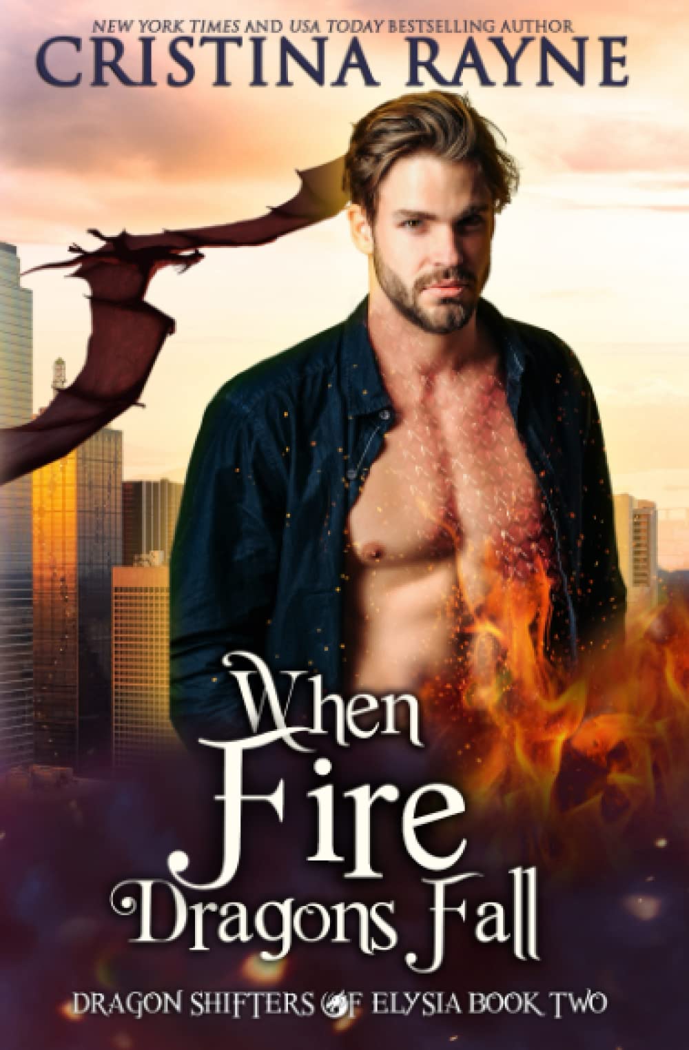 Cover of When Fire Dragons Fall