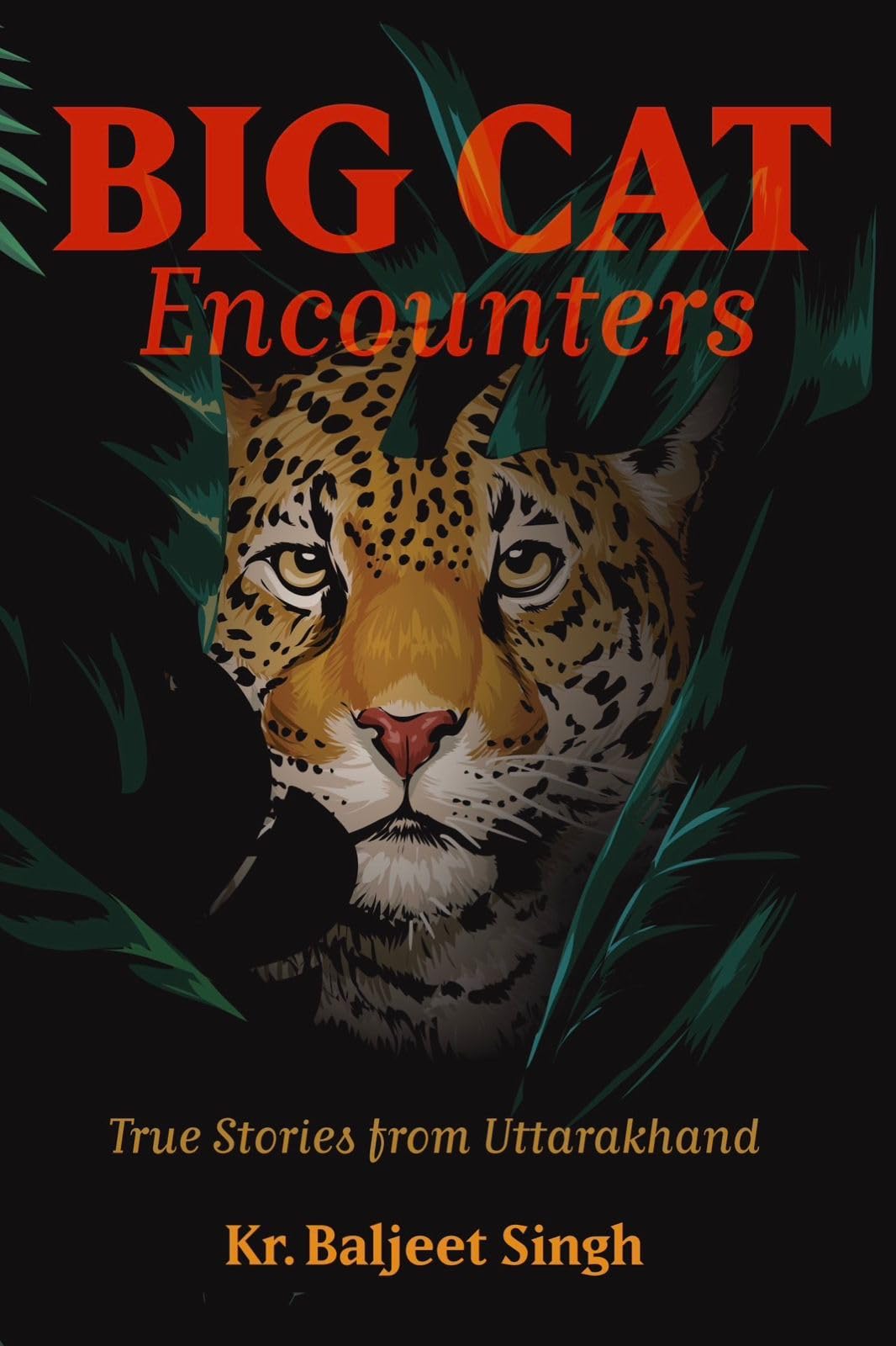 Big Cat Encounters