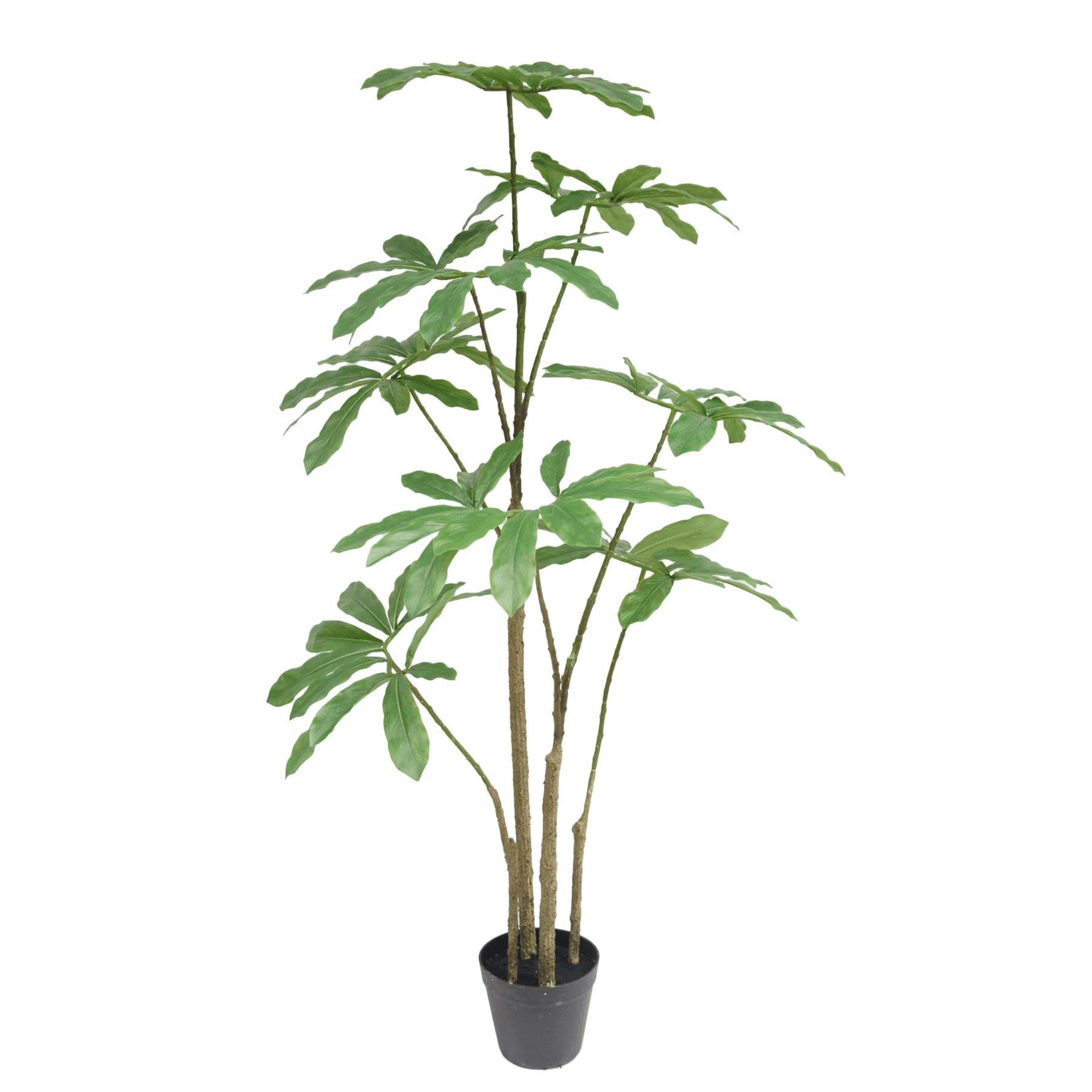 Botanik Dwarf Umbrella Artificial Tree 4ft Green