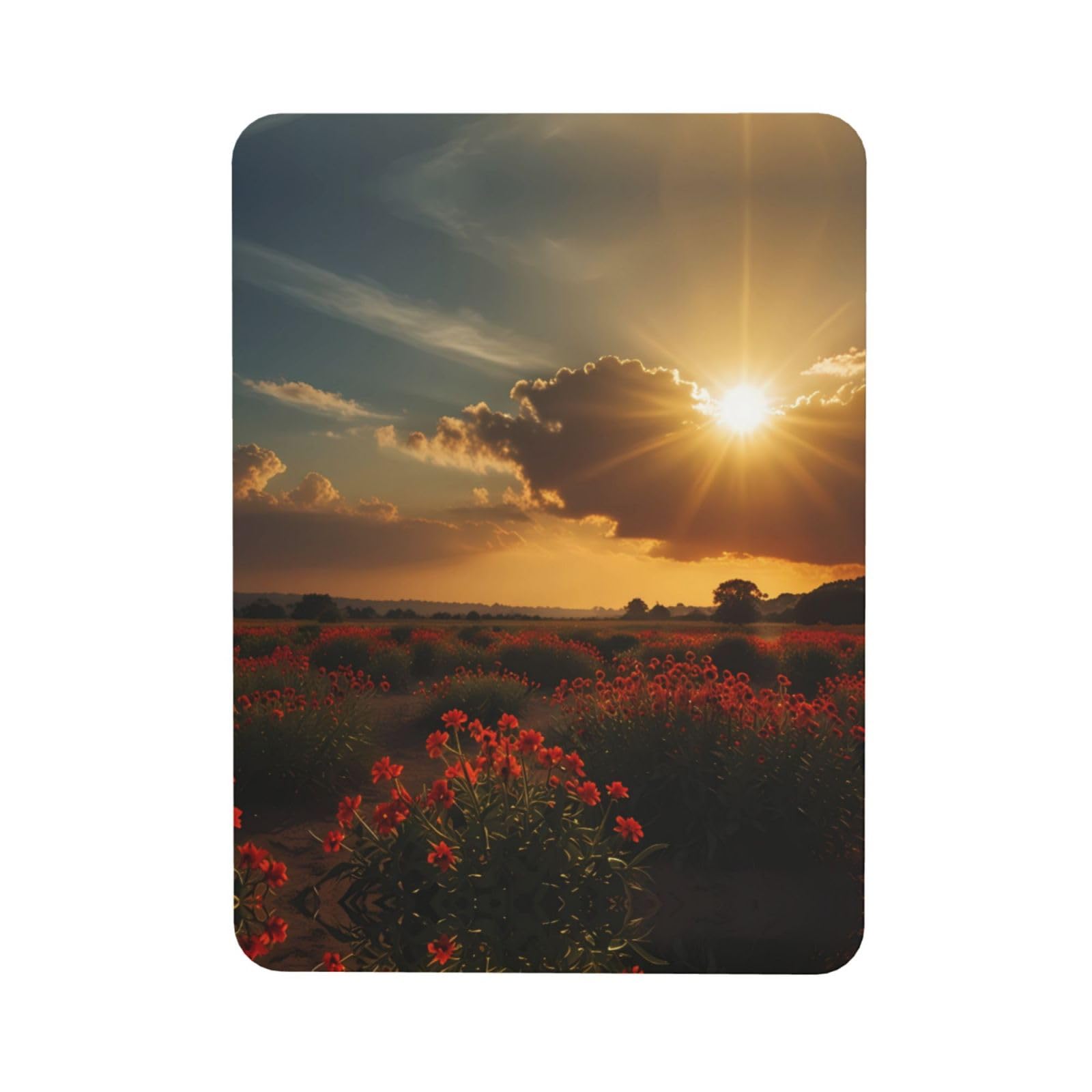 Scorching Soft Magnetic Refrigerator Magnets with Creative Printing, Decorative Magnetic Stickers