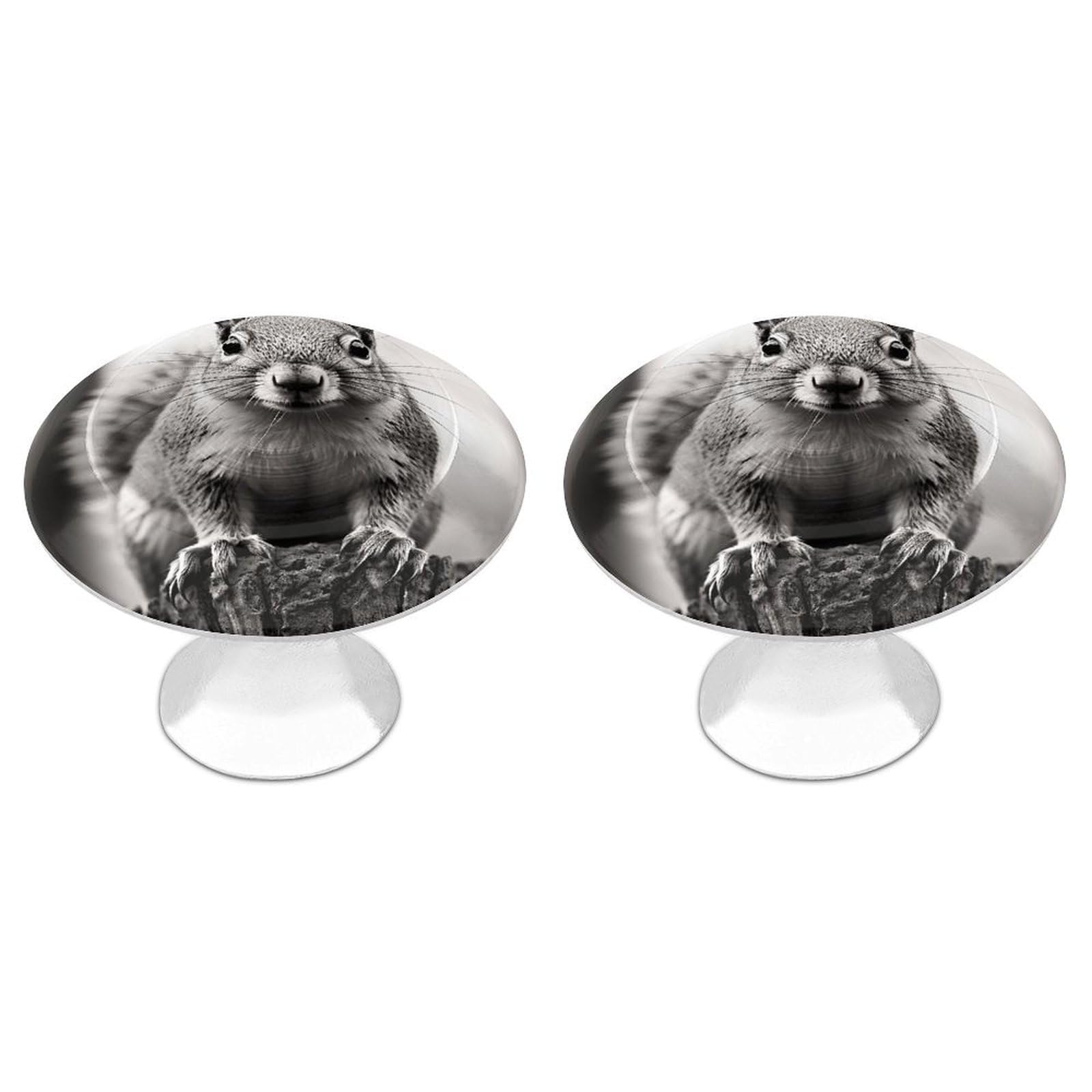 Fekiloot White Light Gray Squirrel Cabinet Knobs For Kitchen Ornament, Round Zinc Decorative Drawer Pulls For Cabinets Trendy, Dresser Drawers Pulls Bathroom Dresser Knob With Screw