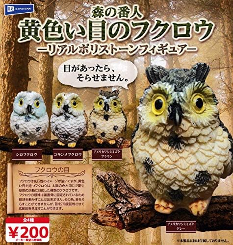 Amazon 森の番人 黄色い目のフクロウ リアルポリストーンフィギュア 全4種セット ガチャガチャ カプセル玩具 おもちゃ