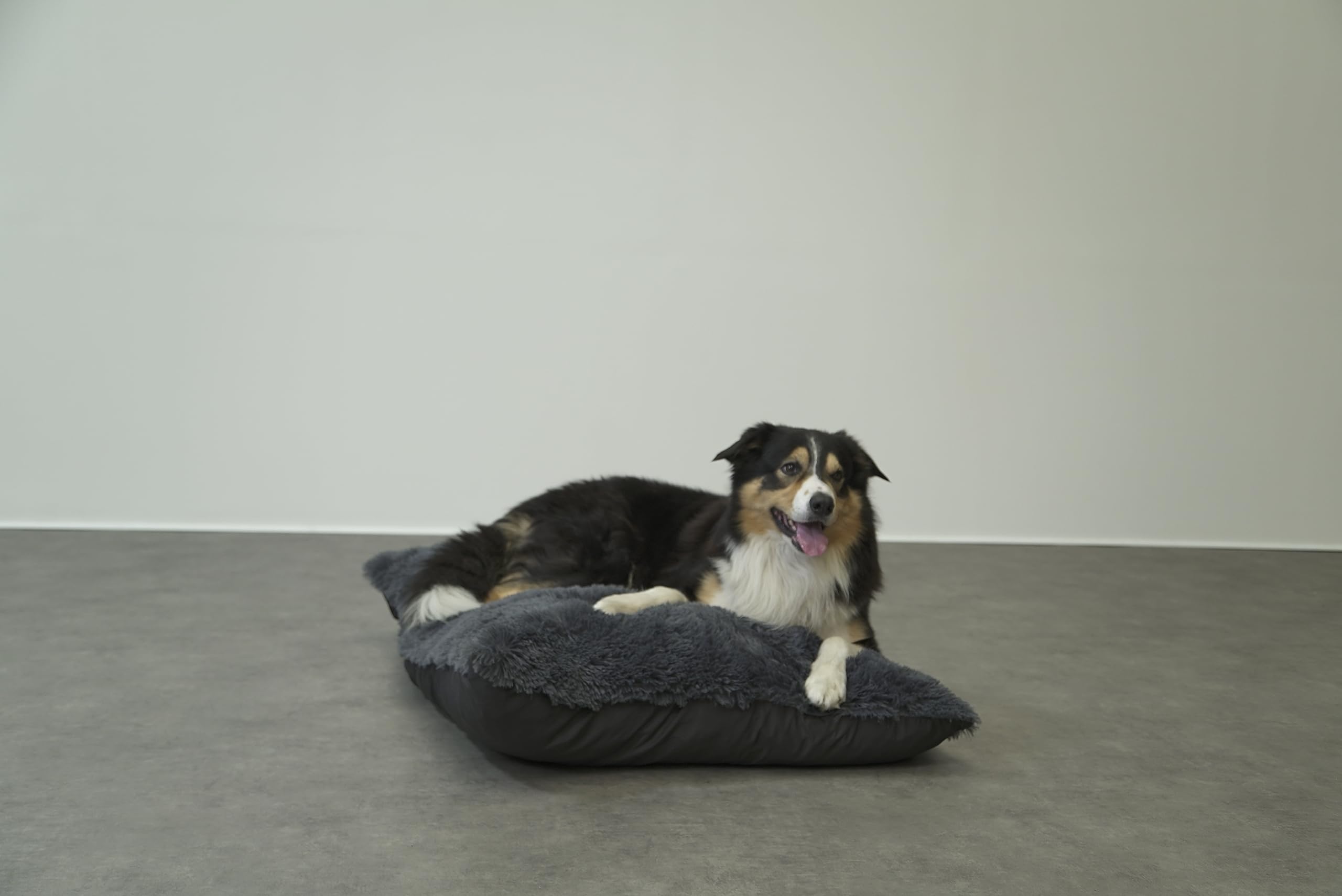 bananair - Coussin Chien Doux & Confortable - Généreusement Rembourré, Housse Déhoussable & Lavable en Machine - Panier/Lit/Matelas Petit & Grand Chien, Variété de Tailles (70 x 90 cm, Gris Foncé)