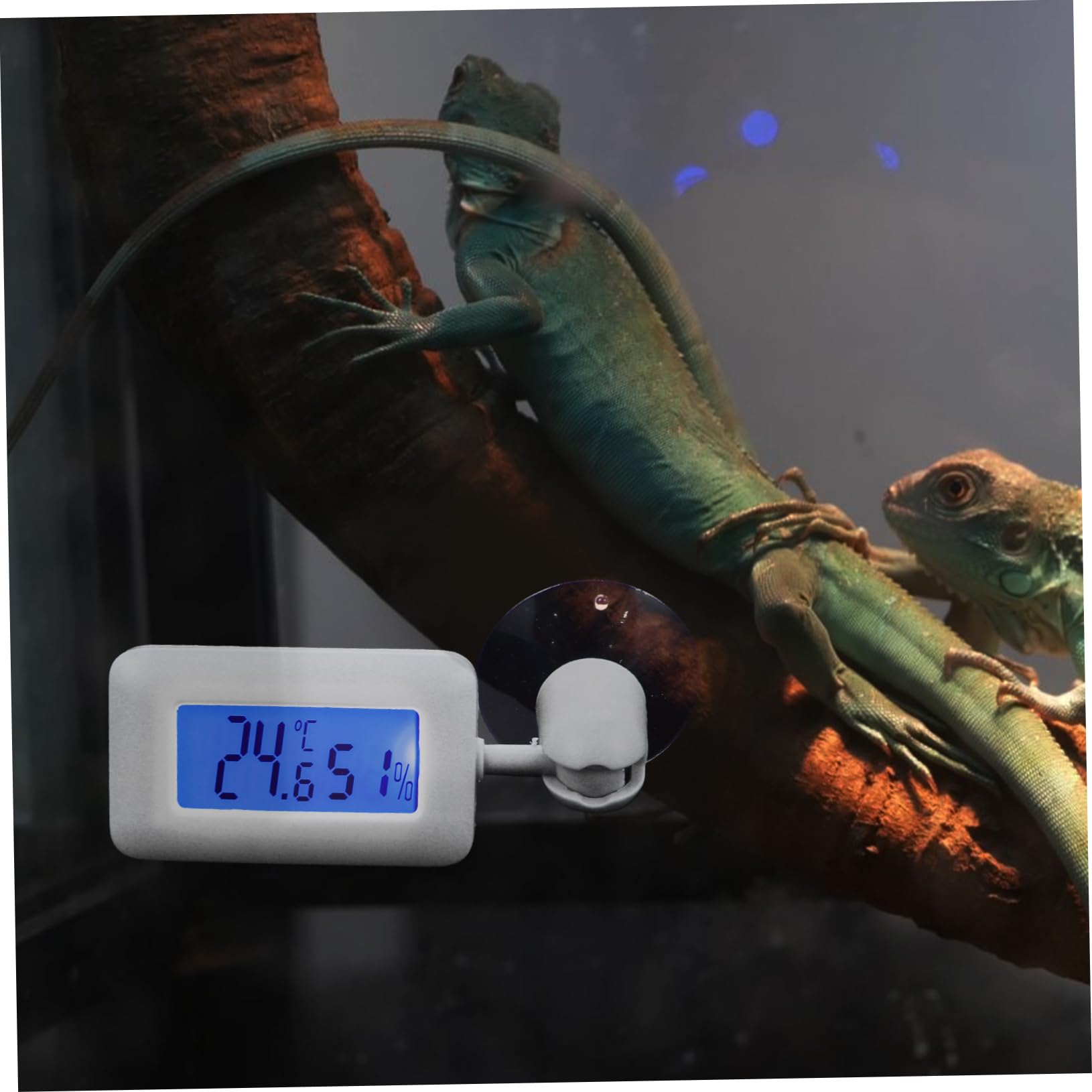 DOITOOL 4stücke Reptilien Thermometer Digital Mit Saugnapf Hygrometer Für Terrarien Und Aquarien Temperatur Und Feuchtigkeitsmessgerät Für Reptilienboxen Installieren Und Praktisch Der