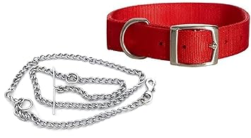 DCM PET Zone Dog Belt Combo of 3/4 inch Red Dog Collar with Dog S Steel Chain Specially for Small Dogs & Puppies Under (10-15kg) Dog Collar Chain