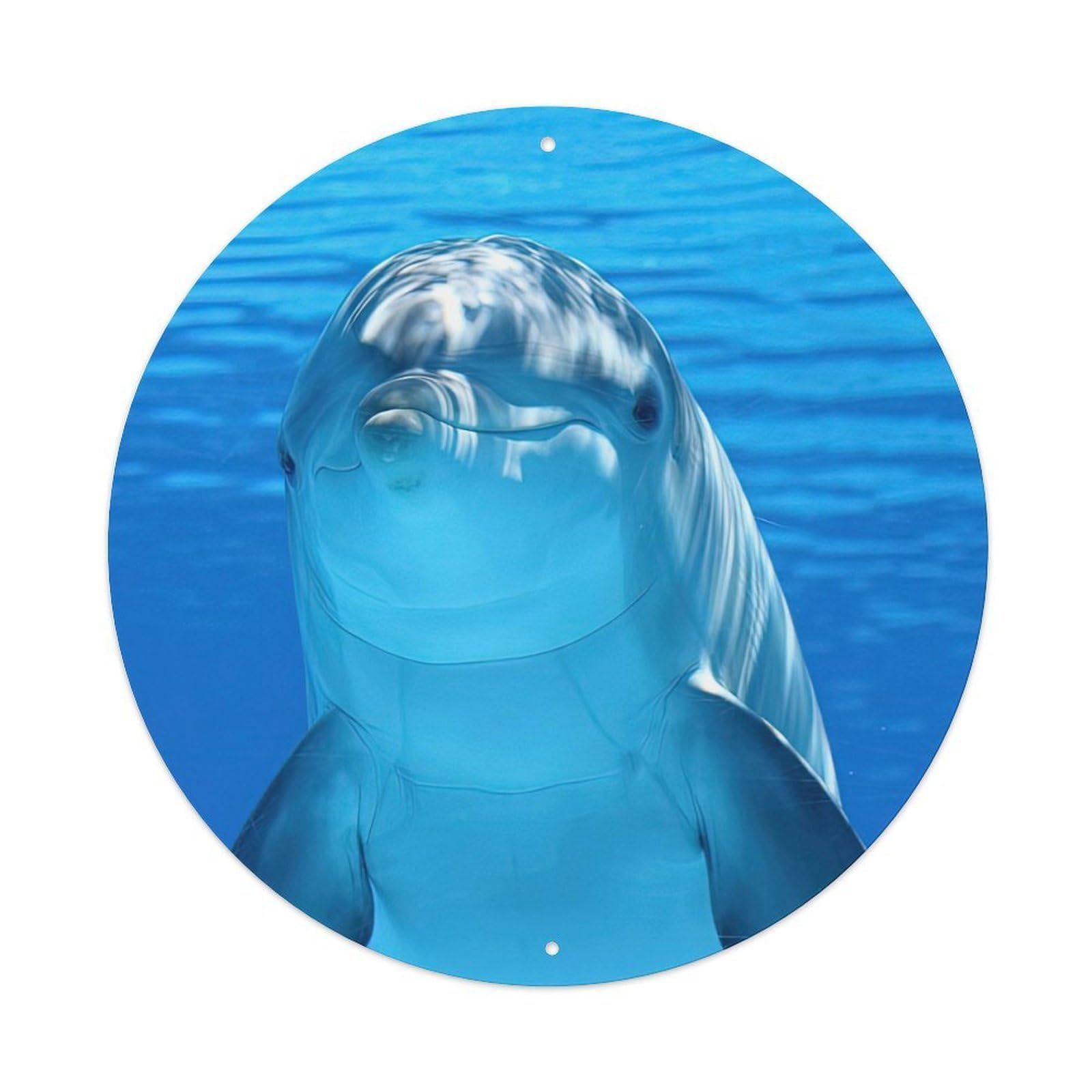 Cute Dolphin Marine Life Underwater Ocean Metal Tin Sign