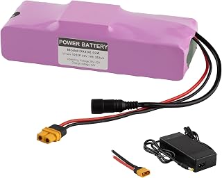 Ebike Batterie 36V Li-Ionen Batterie Elektrofahrrad Lithium 7Ah mit 42V Ladegerät 200W - 1200W 250W 300W 400W 500W 800W 1000W Kann für Roller Spielzeug Autos usw. Motor verwendet Werden