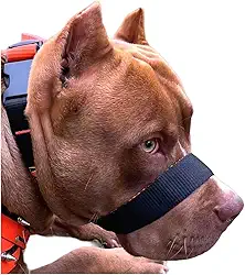 A Única Focinheira Confortável Do Mercado A Mais Vendida Pet (M)