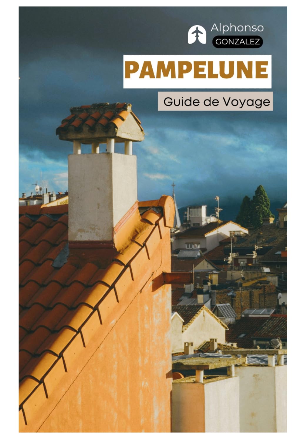 Pampelune Guide de Voyage: Planification du voyage, Hébergement, Attractions, Fêtes de San Fermín, Gastronomie, Excursions et Itinéraires