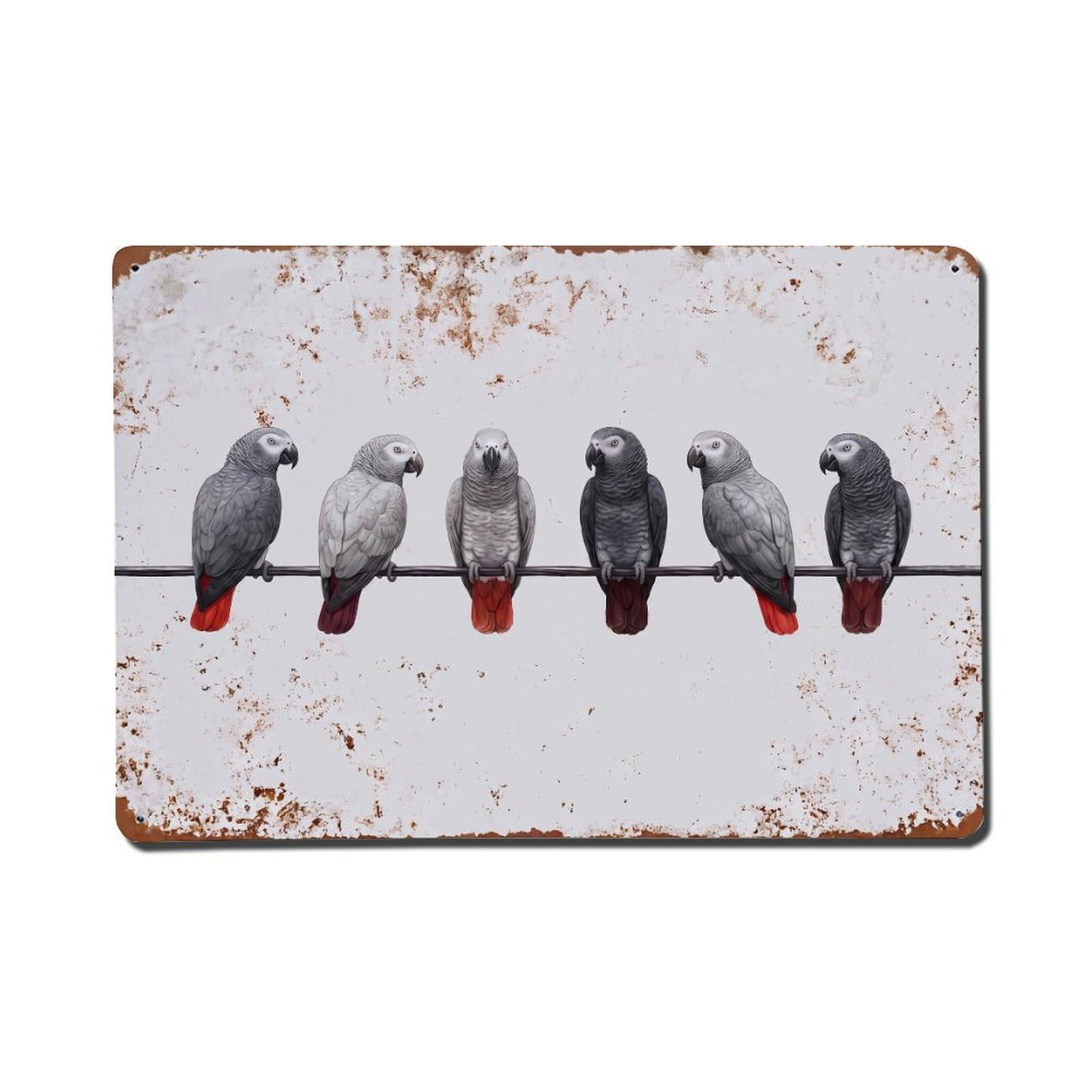 Vintage Retro Birds African Grey Parrot Metal Tin Sign