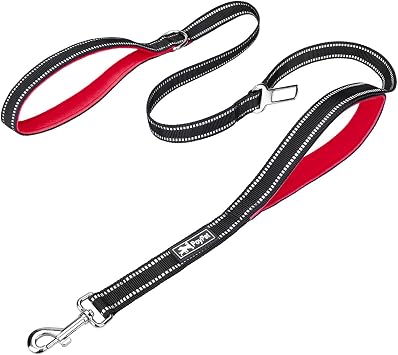 PoyPet 5 Feet Reflective Dog Leash Tether + Car Seat Belt+ Dual Padded Grip Handles Red
