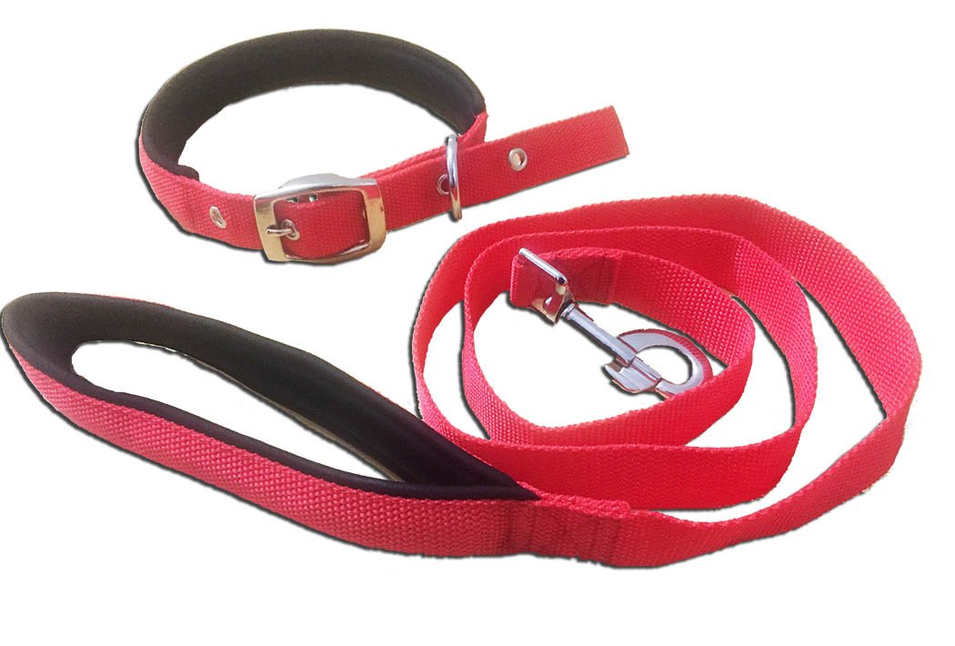 Kanopi Imported Padded Collar and Leash Set 15 mm Red for Small Dogs (B0797T7H64) Amazon Price History, Amazon Price Tracker