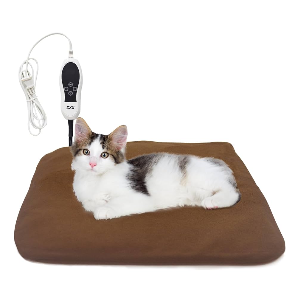 Small Leather Backpack Purse For Women/Girls - Cute, UK | Ubuy