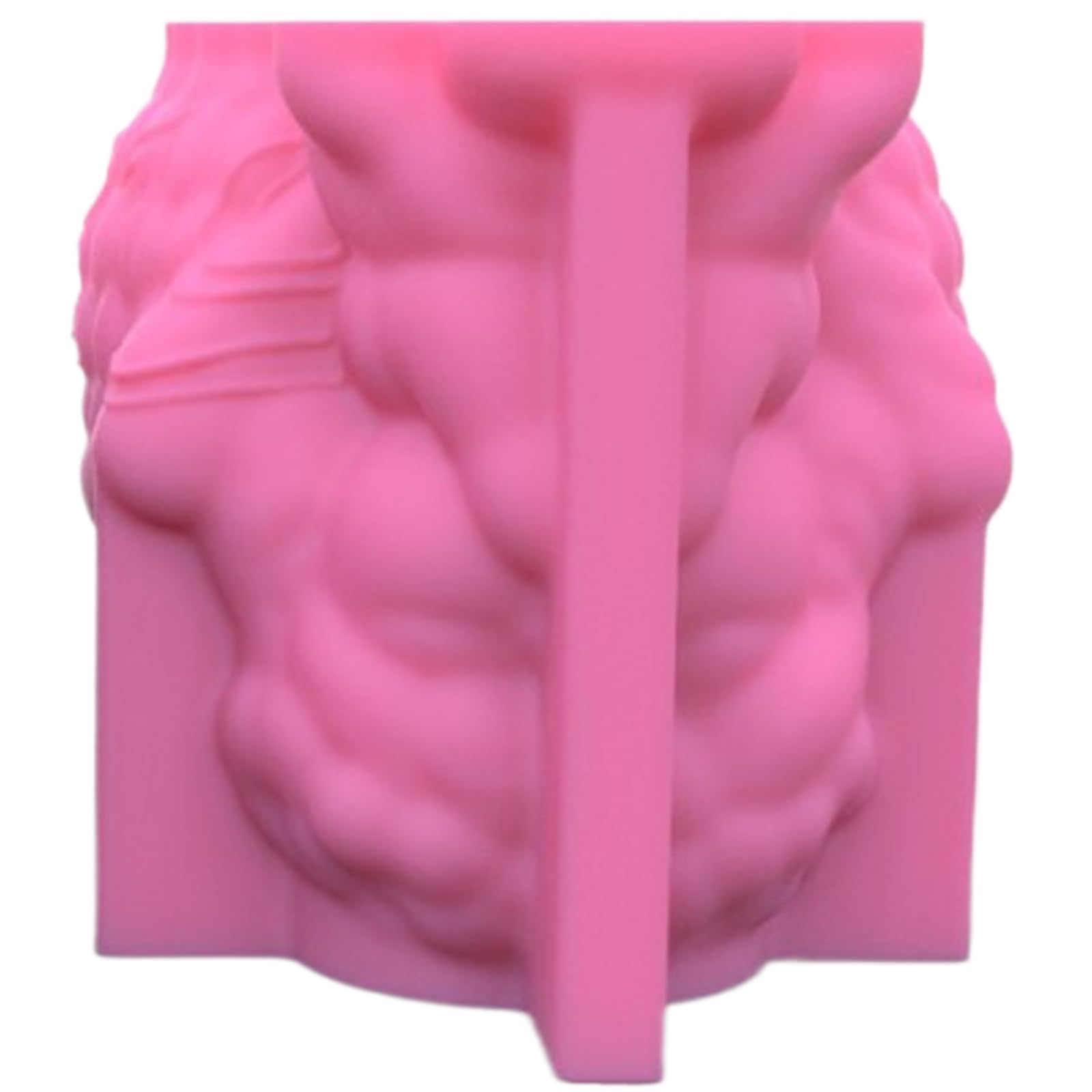 Moule pour pot succulent en silicone résistant pour éliminer les ratés de coulée