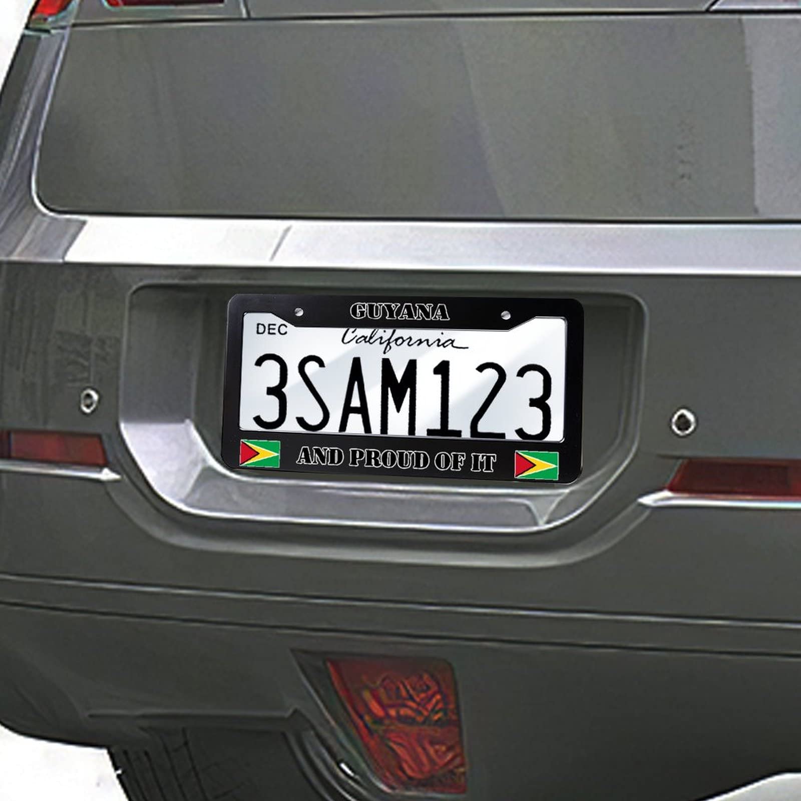 Guyana Coat Of Arms License Plate - Decorative Metal Aluminum Car Front Tag 6x12 Inches