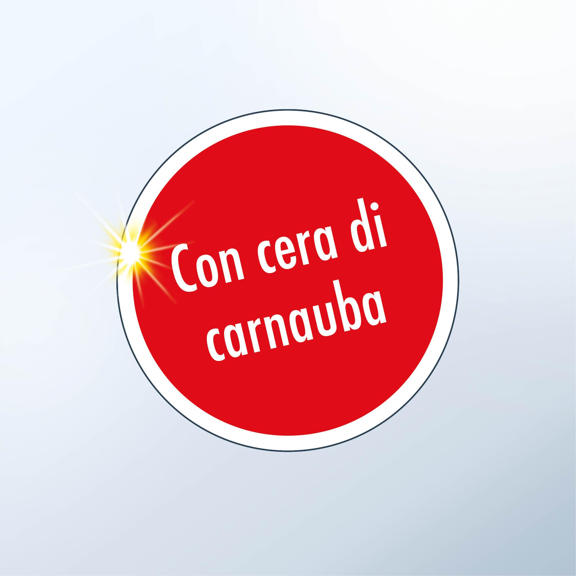 SONAX PROFILINE SpeedProtect (1 Litro) conservazion ad elevato contenuto di cera di carnauba. Per colori intensi e brillantezza profonda | Art.02884050