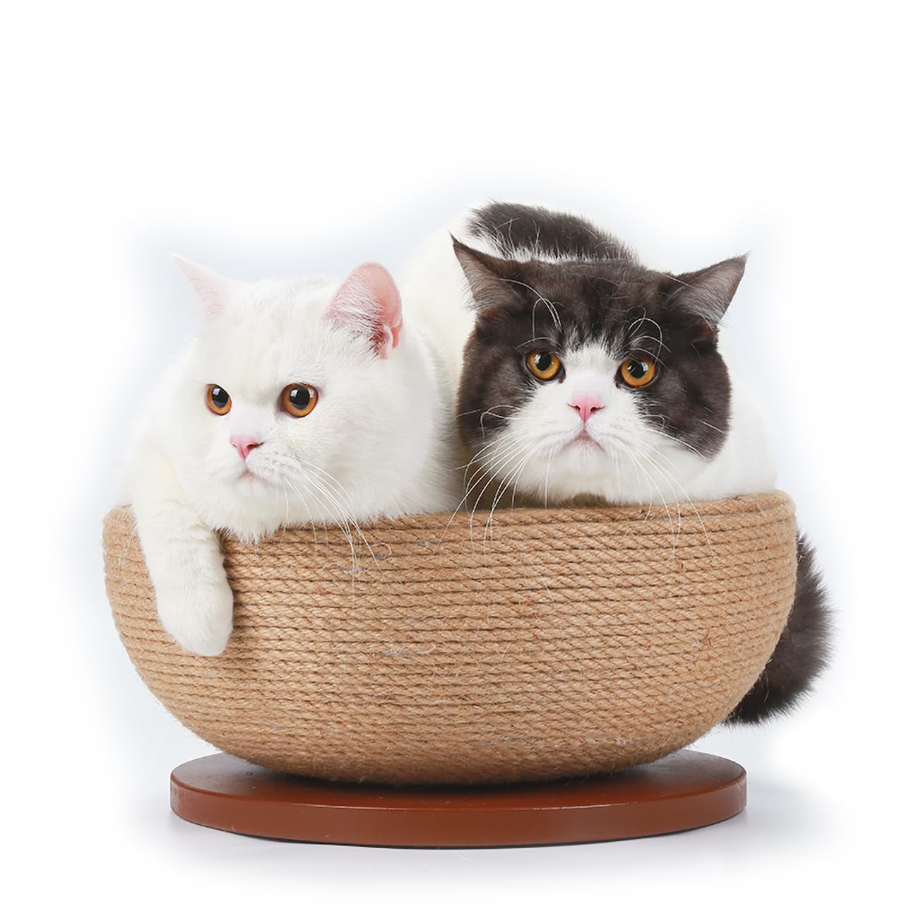 CanadianCat Company | Kratzschale für Katzen - Bowl - Sisal Schale | Katzenbett Liegemulde mit Kratzmöglichkeit für Katzen aus Sisal | ca. 45 x 45 x 16 cm