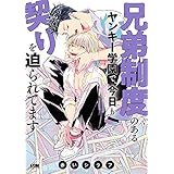 兄弟制度のあるヤンキー学園で、今日も契りを迫られてます【電子単行本】 (PRINCESS COMICS DX カチCOMI)