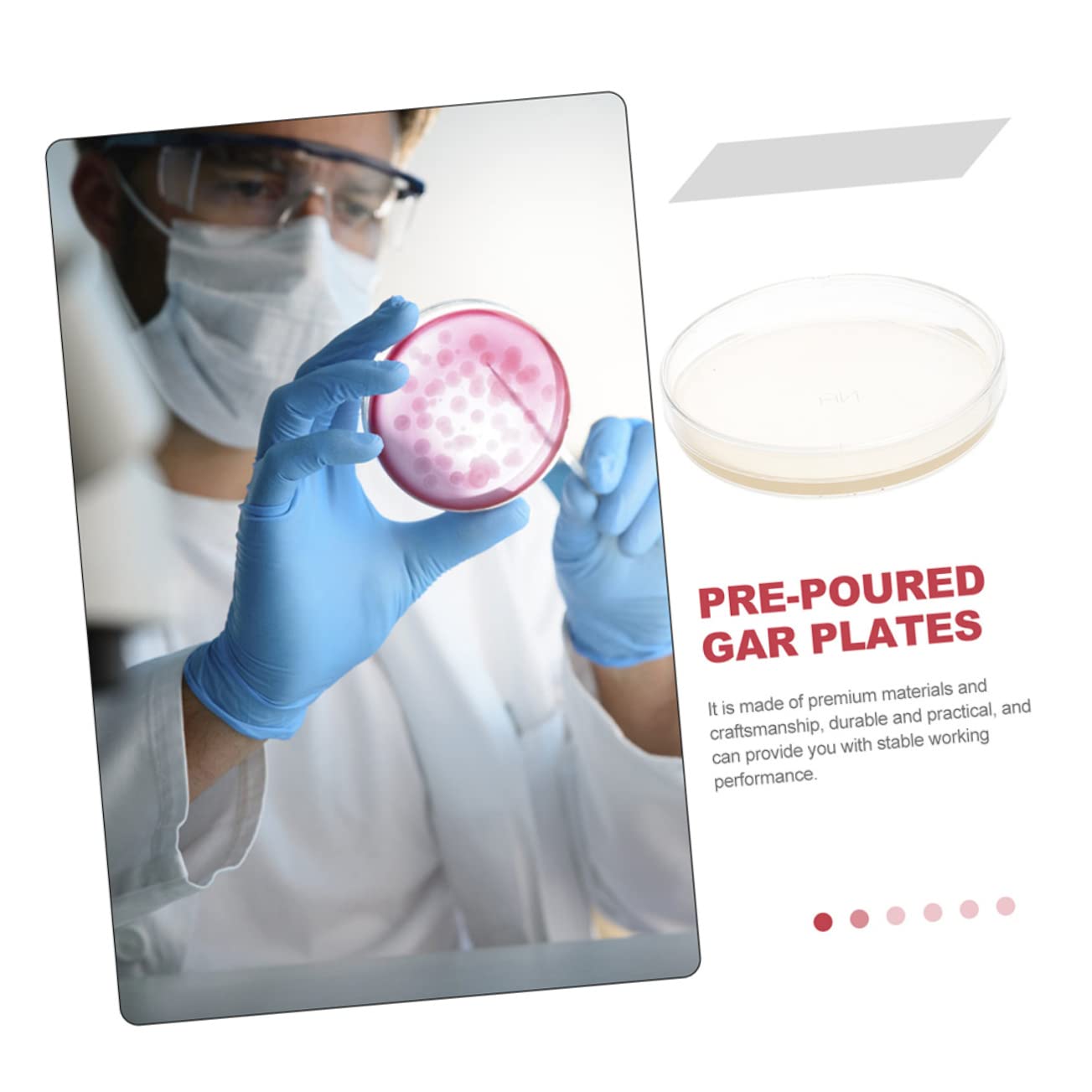 20 Pièces Boîtes De Pétri Pré-Coulées Avec Agar Pour Expérimentation Scientifique Stem 2.76X2.76X0.79In Plaques De Gélose Nutritive Pour École Et Laboratoire