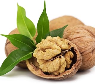 1 Year Old English Walnut Tree Live Plant 1-2 Feet, Cold Hardy, Dormant, White Walnut Butternut Like, Walnuts Trees for Garden Planting