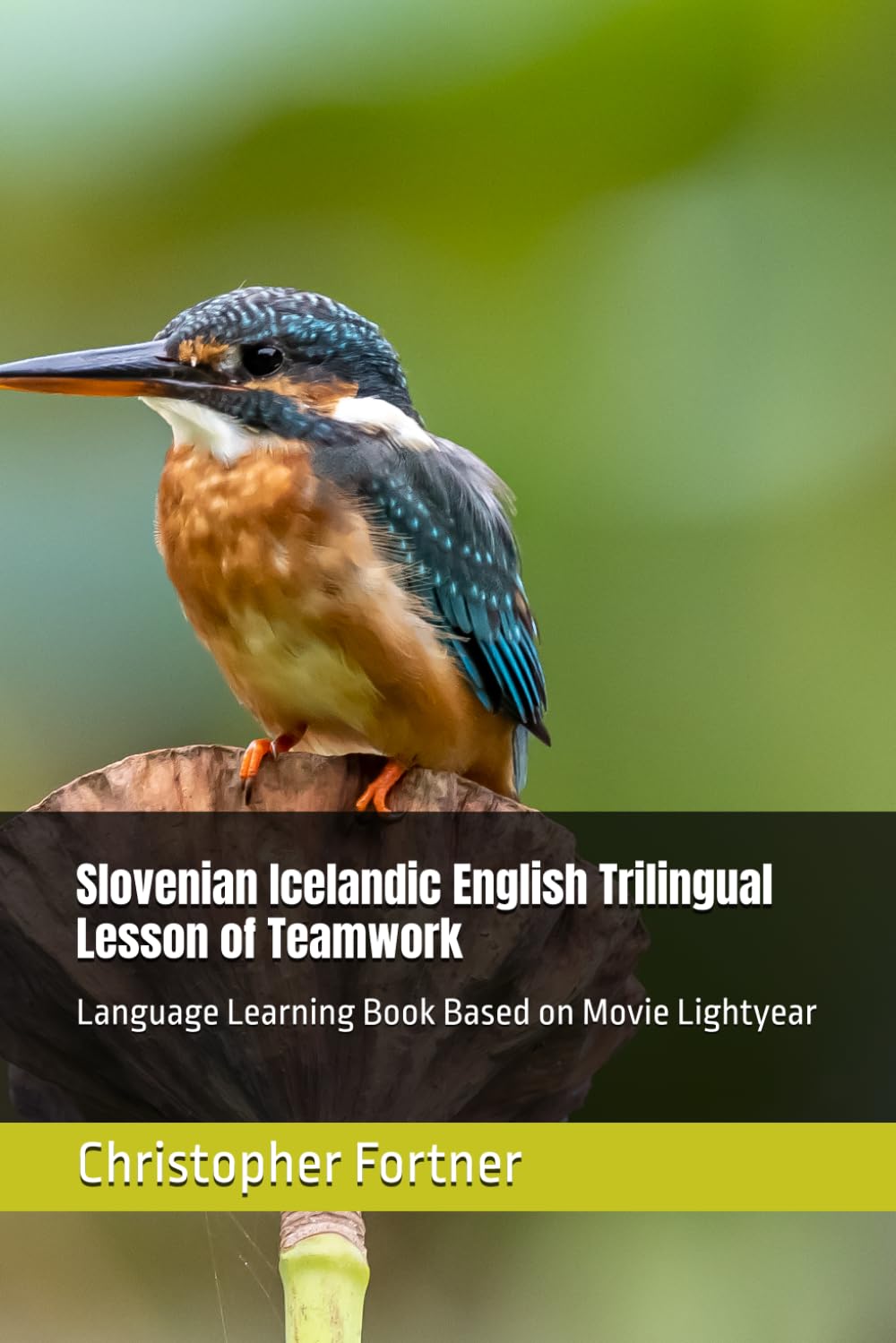Slovenian Icelandic English Trilingual Lesson of Teamwork: Language Learning Book Based on Movie Lightyear