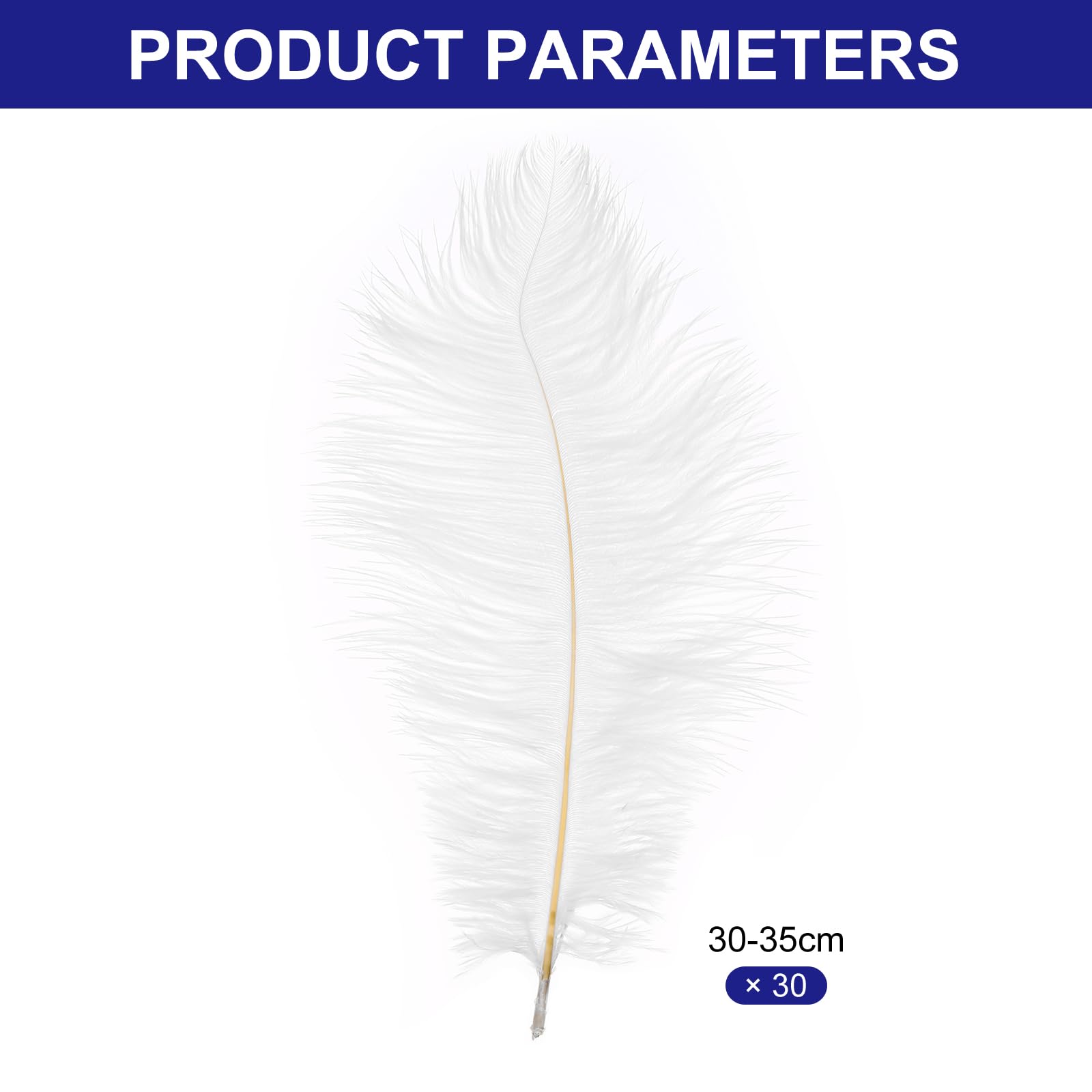 PATIKIL 30 Piezas Plumas de Avestruz Naturales a Granel 12-14" / 30-35 cm Plumas de Avestruz Grandes para Manualidades Decoración del Hogar de Jarrón Boda Fiesta (Blanco)