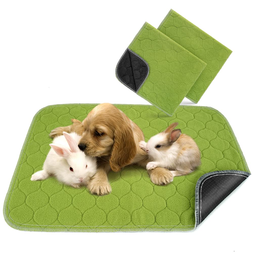 Argopet 2 Pack Washable Pee Pads for Dogs ,24" x 18" Extra Large Fast Absorbent Leak-Proof Reusable Puppy Training Pads Furniture Protector Whelping Pads Mats for Kennel, Bunny, Guinea Pig(Green)