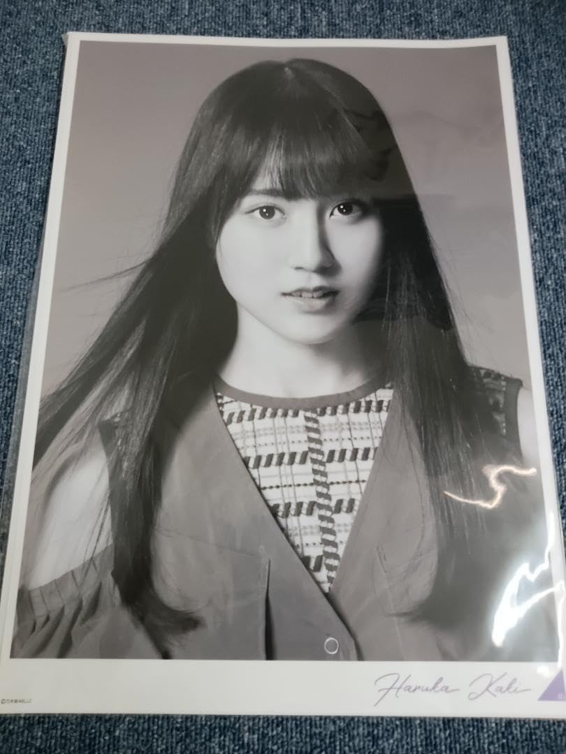 乃木坂46 賀喜遥香　39thシングル 会場限定ポスター 乃木坂46 賀喜遥香 39thSame numbers会場限定ポスター最安値