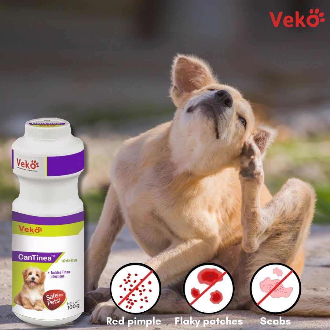 Veko Cantinea Dusting Powder | Powder for Dog & Puppy 100 gm(Pack of 2)