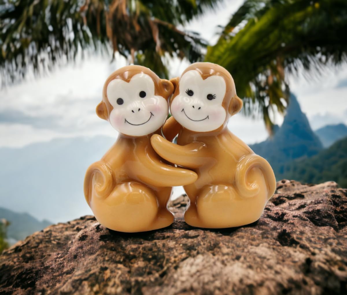Amazon.com: Fine Ceramic Hugging Monkeys Salt & Pepper Shakers Set
