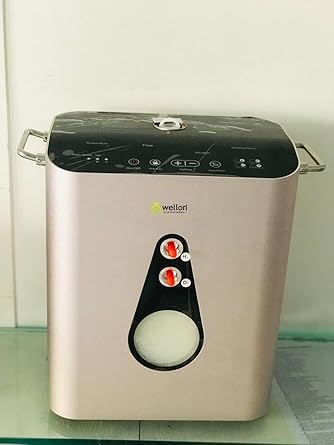 Wellon Hydrogen Inhalation Machine 900 ml/min.