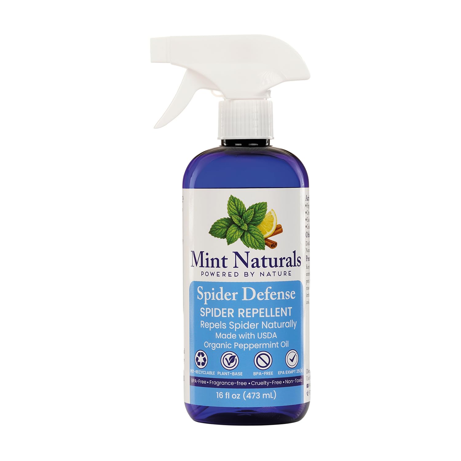 Amazon.com: Natural Spider Repellent Spray - USDA Organic