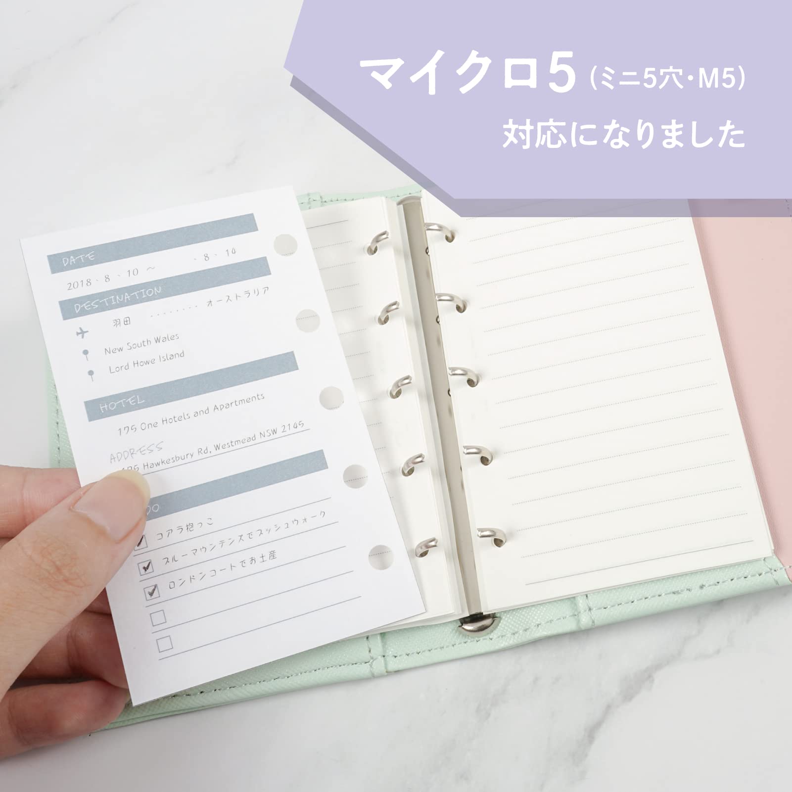 Officemate Diary 6-Hole Punch, Blue (90163 - View #4