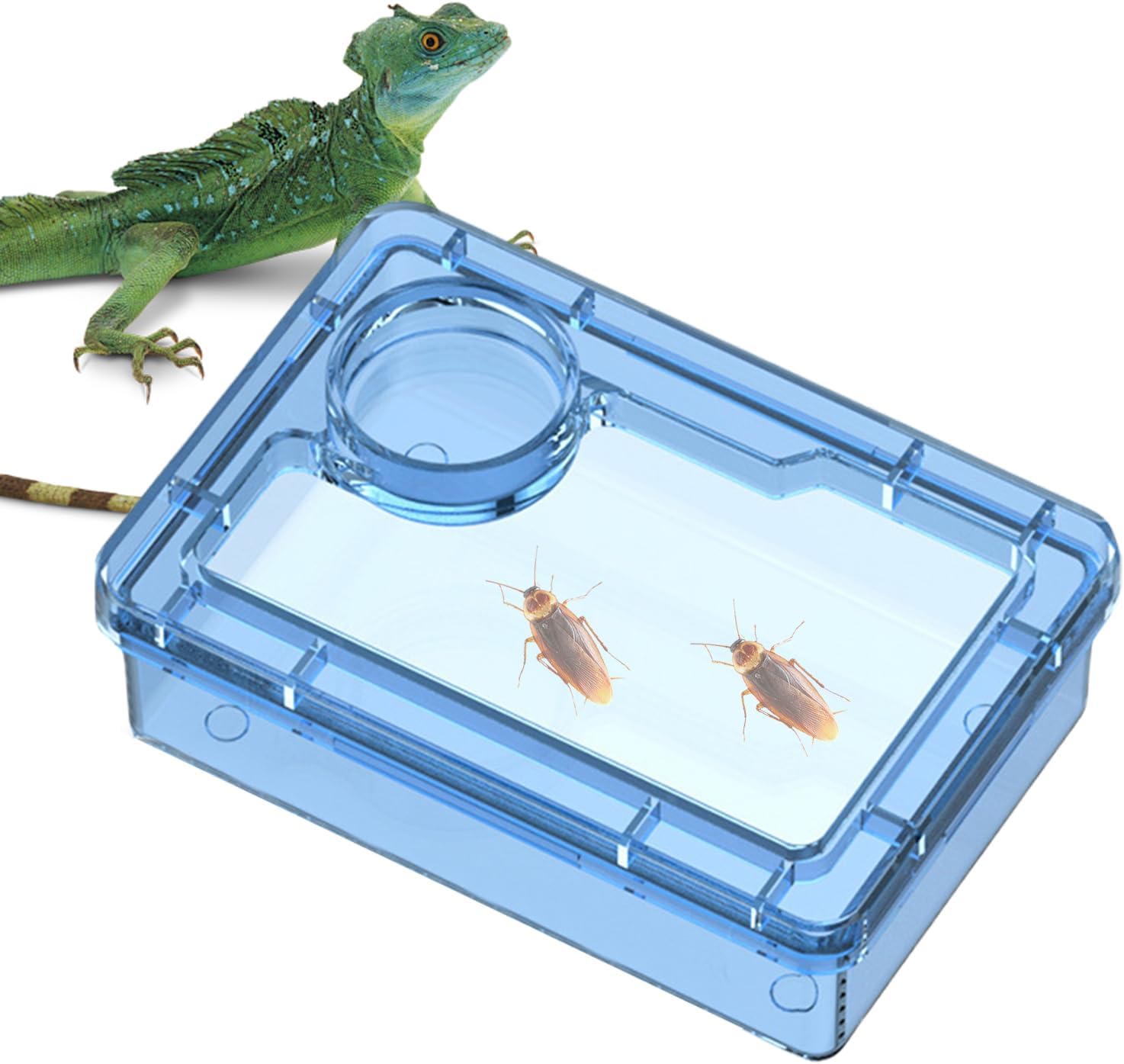 Chamäleon-Futterstation, ausbruchsicherer Kronengecko-Futternapf, Zubehör für die Terrarienfütterung von Chamäleon-Eidechsengeckos