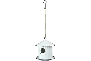 Things2Die4 Weathered White Silo Decor Hanging Metal Birdhouse with Blue Trim