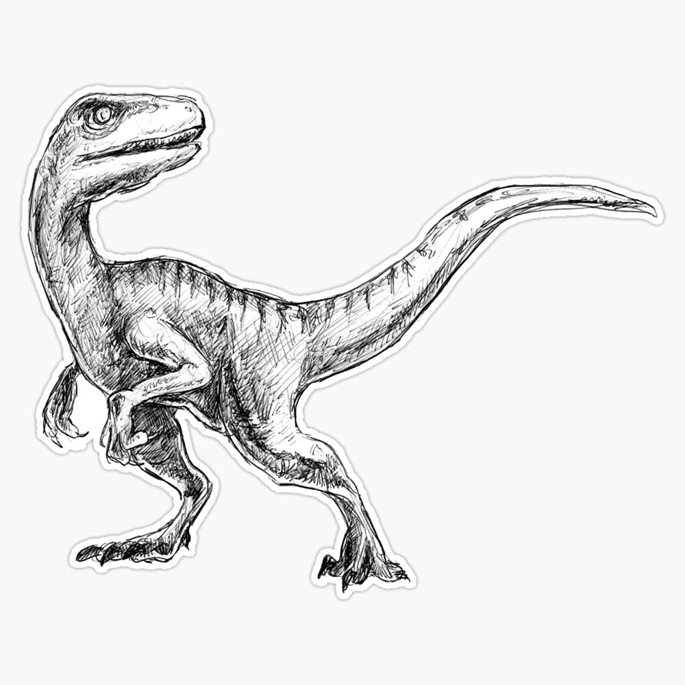 Velociraptor Vinyl Decal Sticker Car Waterproof Car Decal Bumper Sticker 5"