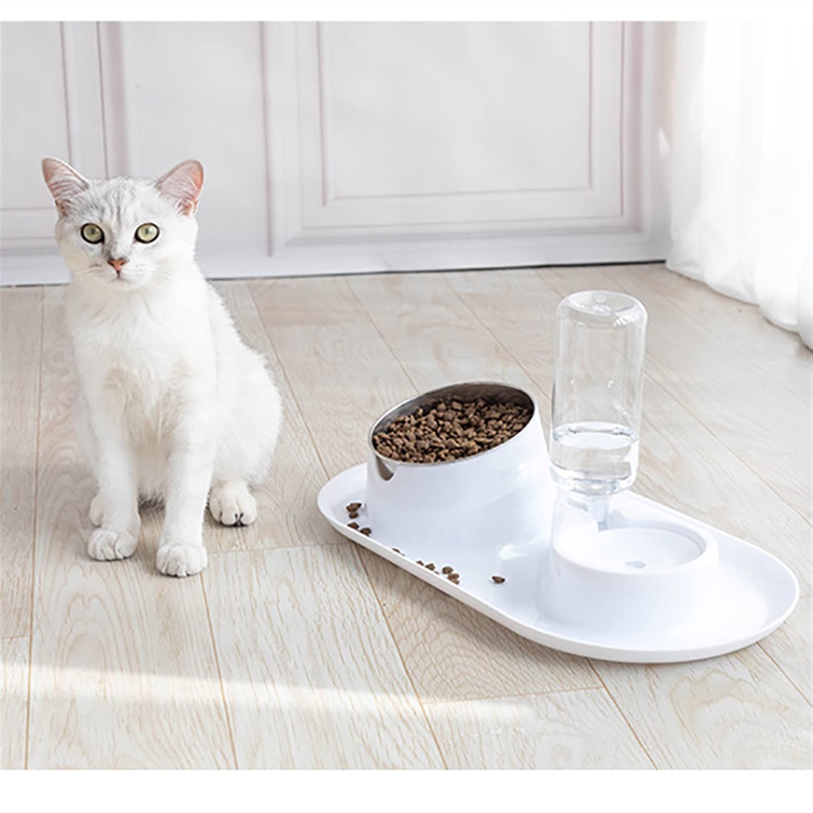 Gatti Ciotole Ciotole automatiche for gatti Doppi ciotole con supporto alzato for animali domestici e ciotole for acqua for cani alimentatori ciotola for cani in acciaio inox Mangiatoia per Gatti