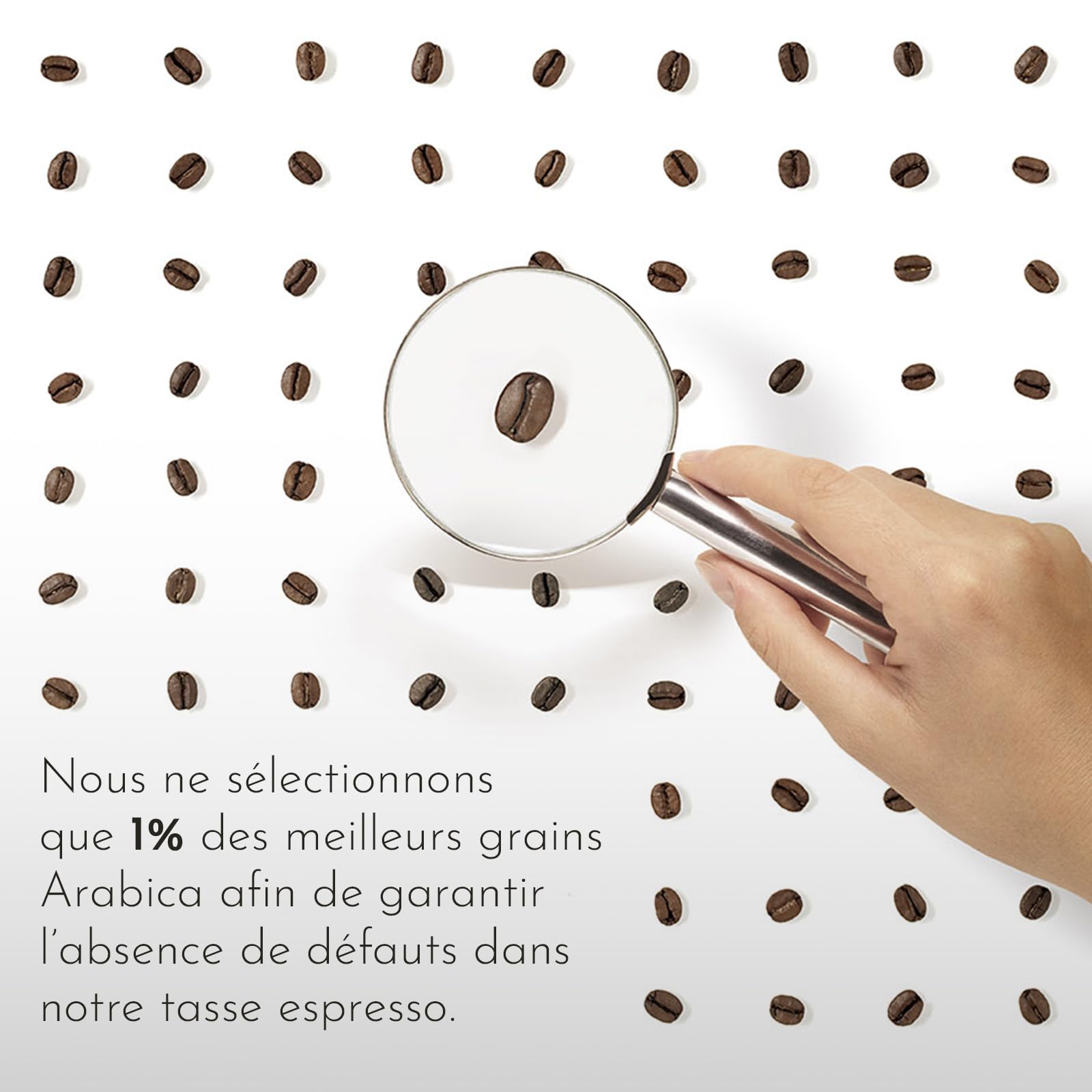 illy, Café en Grains Arabica Selection Guatemala, 6 Boîtes de 250g | 100% Arabica, Notes de Chocolat, Goût Amer et Intense, 1,5 kg au Total