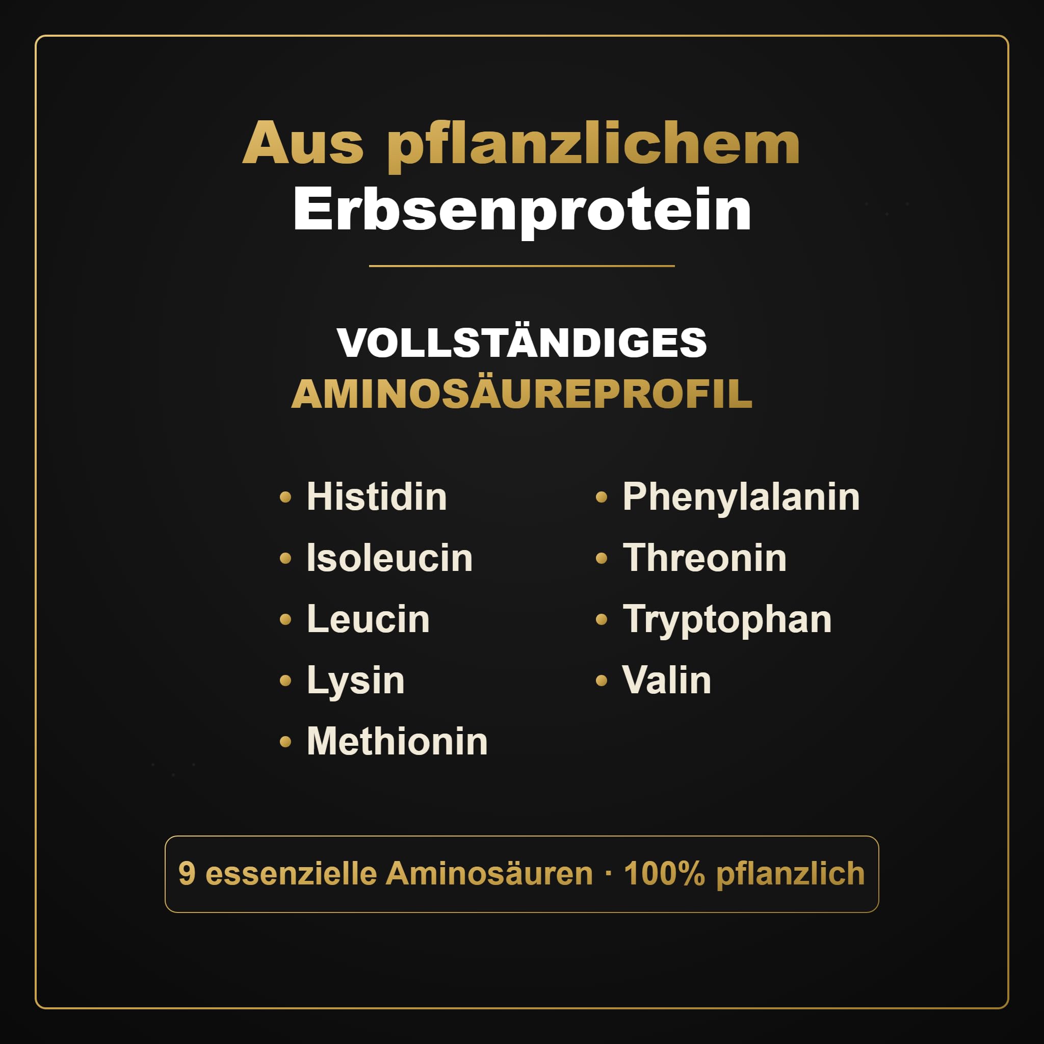 Veganes Eiweißpulver aus Erbsenprotein | Pflanzliches Protein-Pulver mit essenziellen Aminosäuren | Ohne Soja und Süßungsmittel mit Birkenzucker