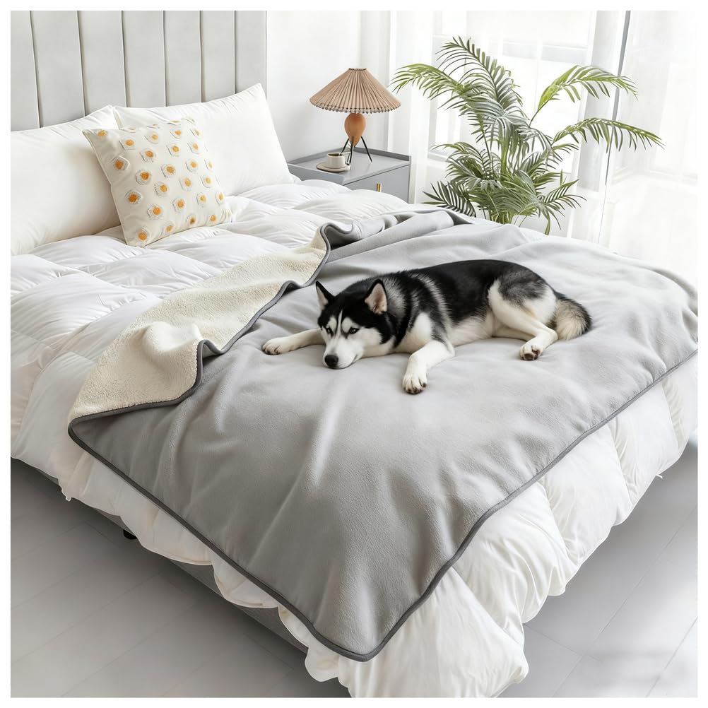 Couverture douce et imperméable pour chien et chat de très grande taille, en polaire sherpa, anti-pipi – 150 x 200,7 cm – Gris clair