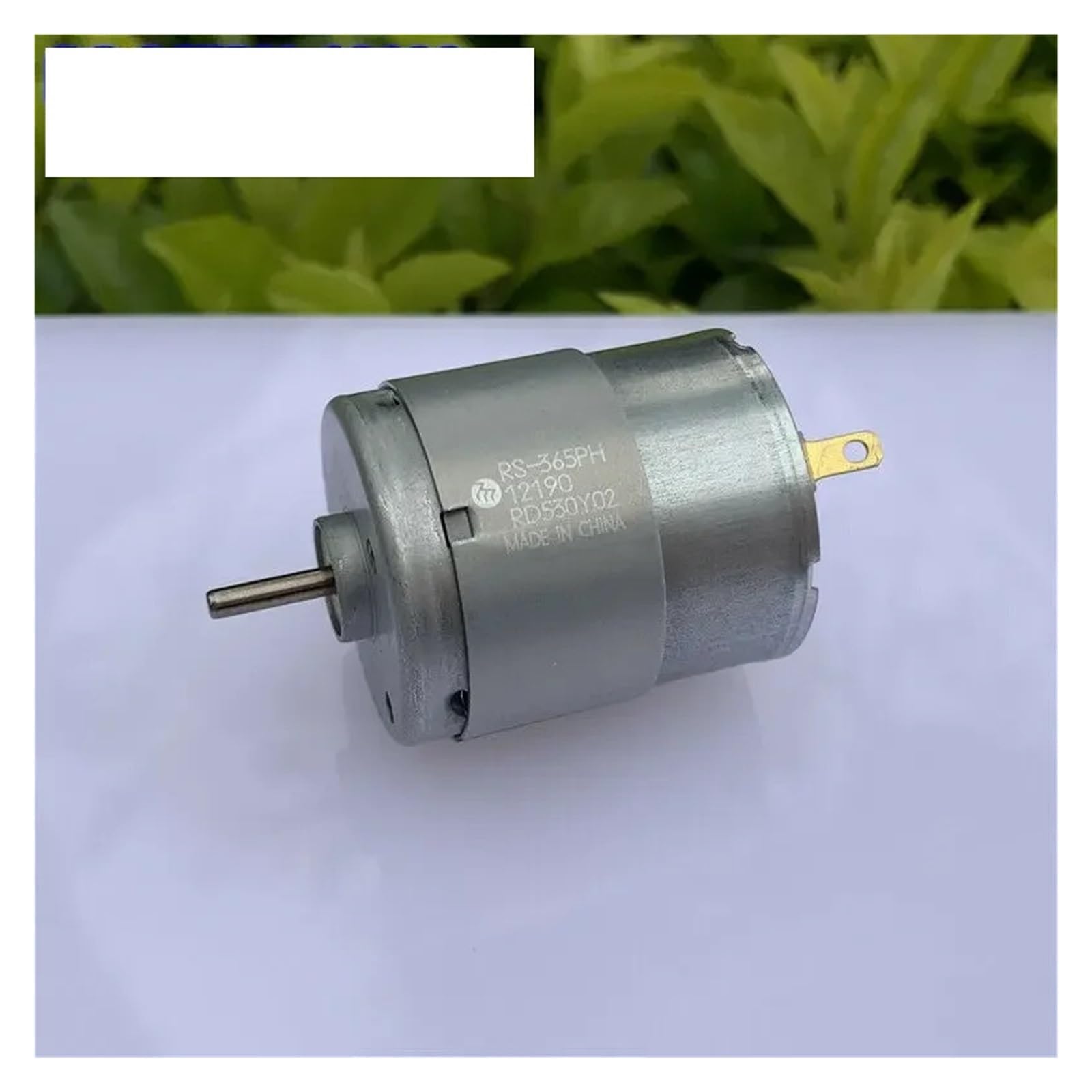 SSQAMACNC RS-365PH-12190 Carbon Brush 28mm Electronic Starter DC 6V~24V 12V 18V 2.3mm Shaft for Heat Massager