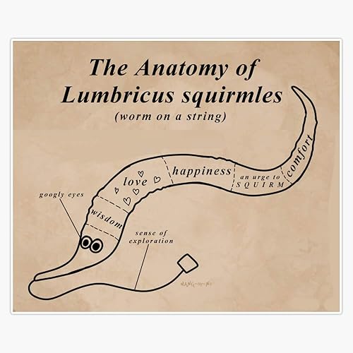 Calcomanía de vinilo con texto en inglés The Anatomy of a Worm On A String (5 pulgadas)