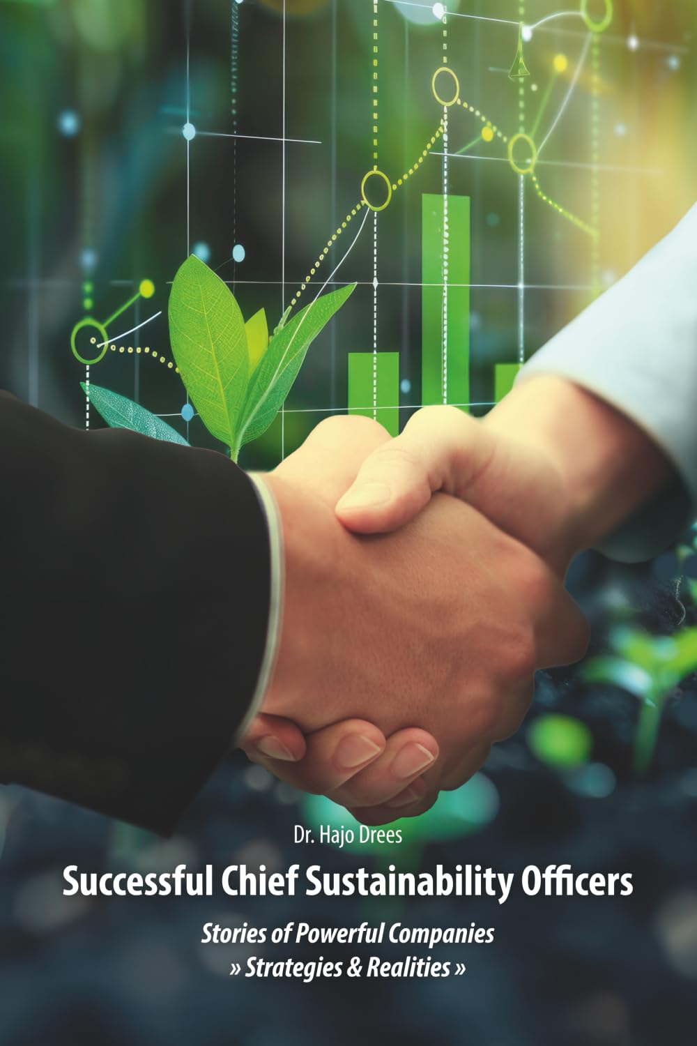 Successful Chief Sustainability Officers: Stories of Strong Companies - Strategies & Realities -