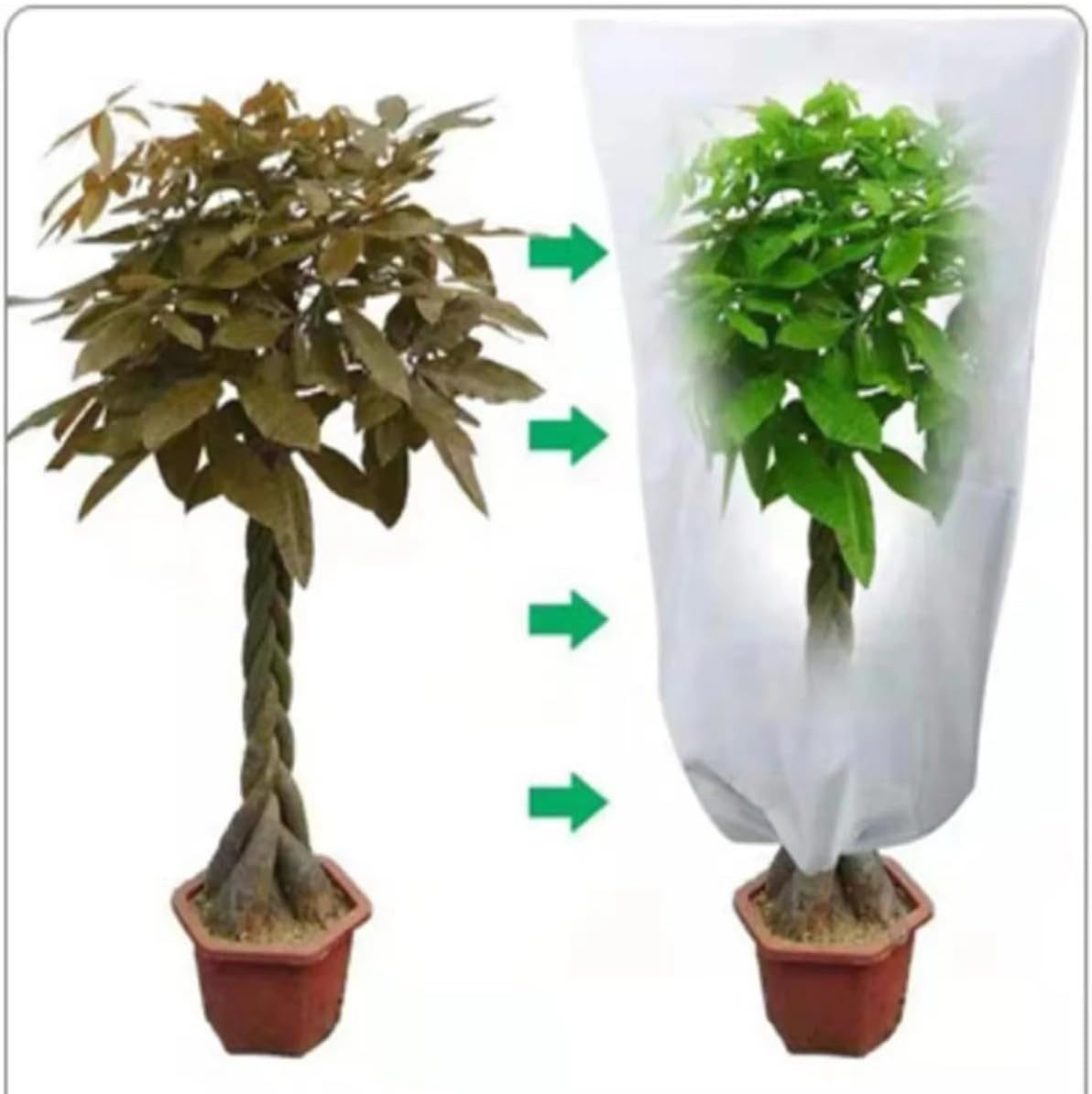 Plant Covers Freeze Protection Frost Cloth Blankets for Outdoor Large Plants, Winter Tree Covers Plant Protector with Zipper and Drawstrings (3 * 3m (Zipper Drawstring Style),White)