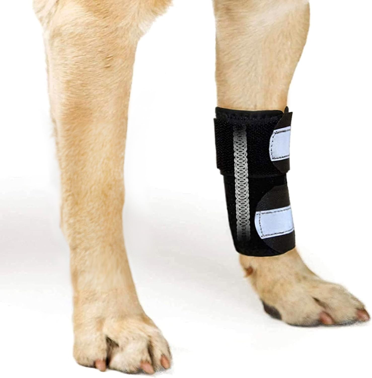 Photo 1 of NeoAlly- Front Leg Brace for Dogs & Cats, Dog Leg Brace with Metal Spring Inserts, Dog Leg Sleeve for Carpal Support, Dog Leg Sleeve with Reflective Straps, XXS to XS, Left Leg