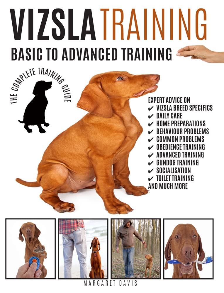 Vizsla Training: Basic to Advanced Training: The Complete Training Guide