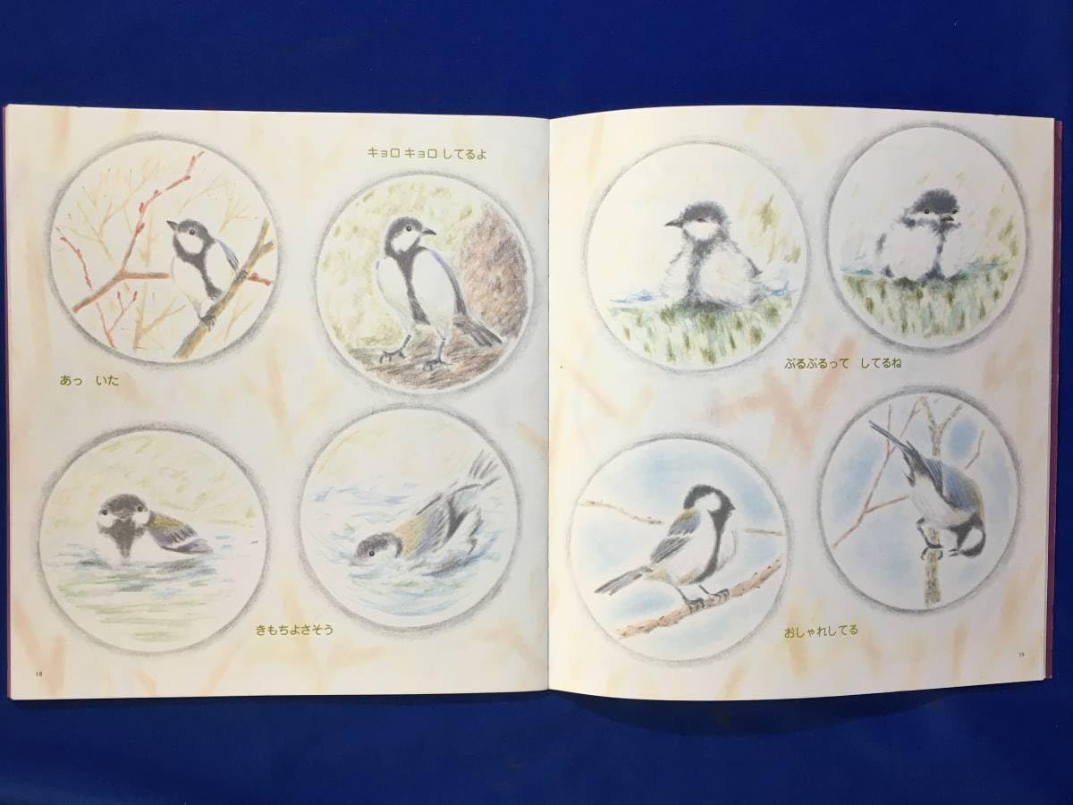 かがくのとも　鳥　確認用 Amazon.co.jp: CK1739c○かがくのとも 168号 「とりをみた